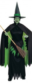 Déguisement mistique de sorcière