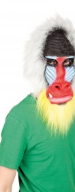 Masque singe